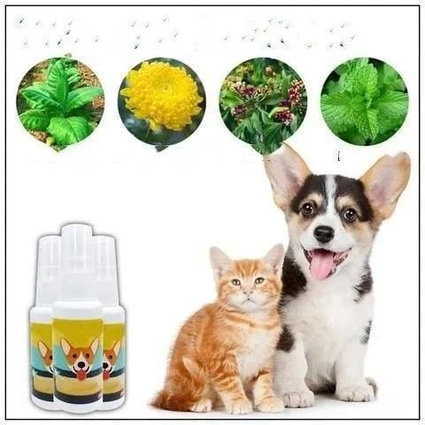 Buy Natural Potty Training Spary for Dog & Cat BUY 1 & GET 1 FREE