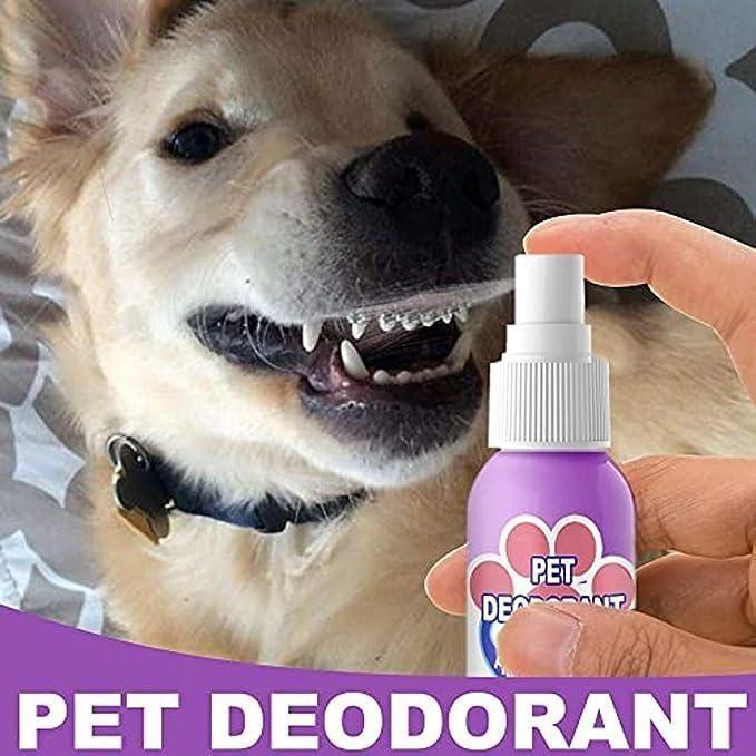 Oral Spray For Dogs & Cats (Pack of 2)